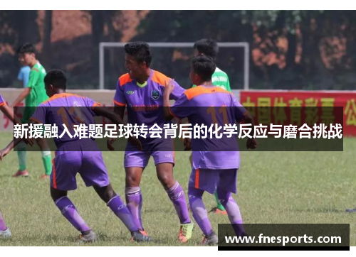 新援融入难题足球转会背后的化学反应与磨合挑战